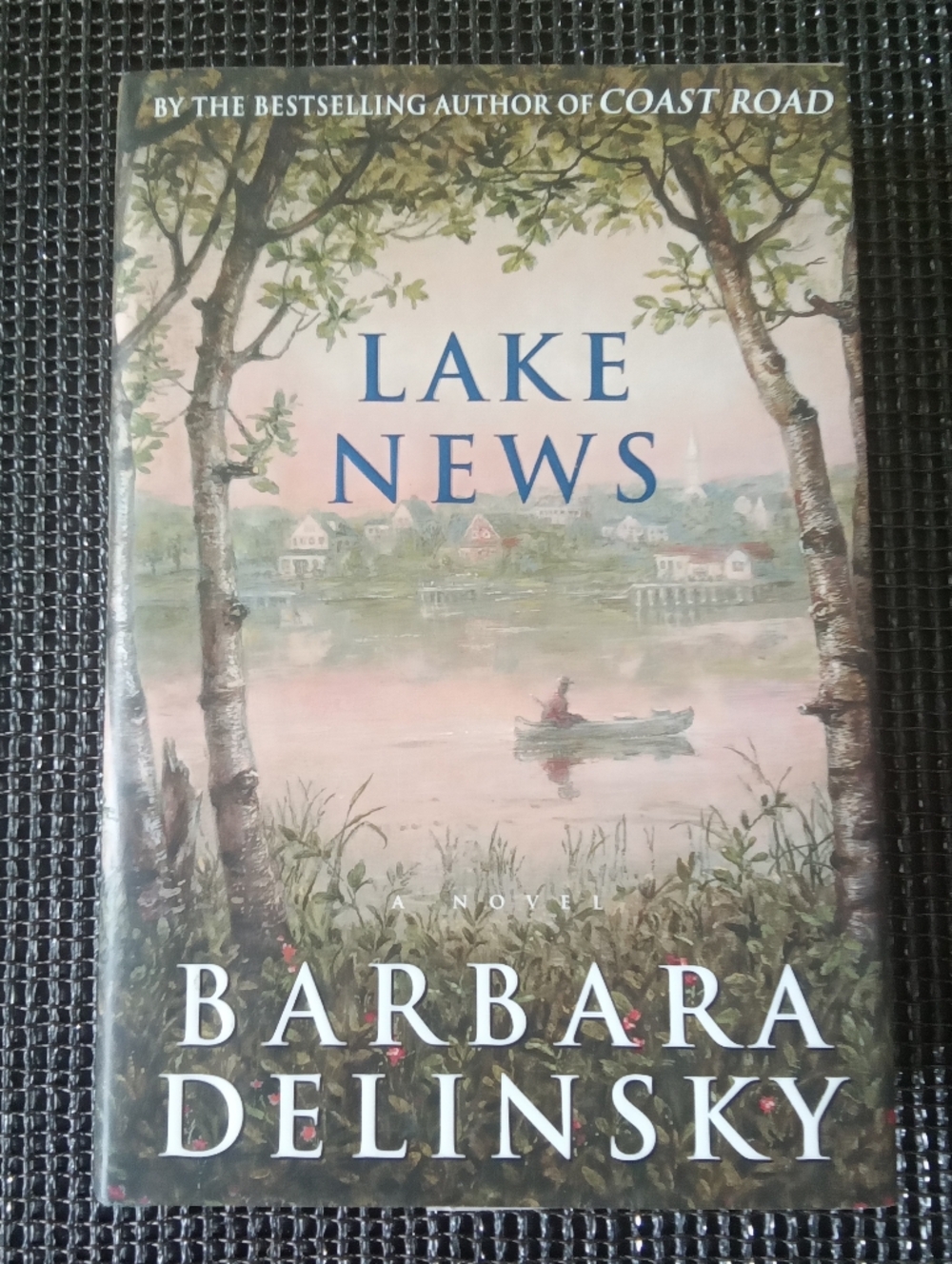 Lake News Hardcover Novel by Barbara Delinsky